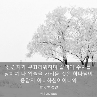 Picture 03 - 미가 3:7 KOR - 선견자가 부끄러워하며 술객이 - Bible Verse Picture