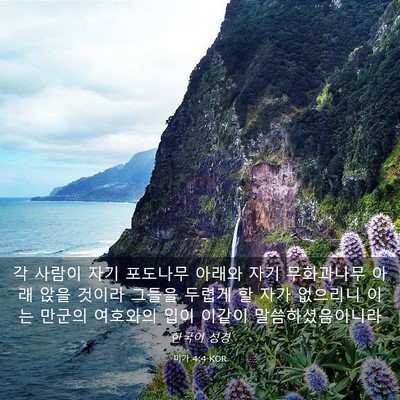Picture 03 - 미가 4:4 KOR - 각 사람이 자기 포도나무 아래와 - Bible Verse Picture