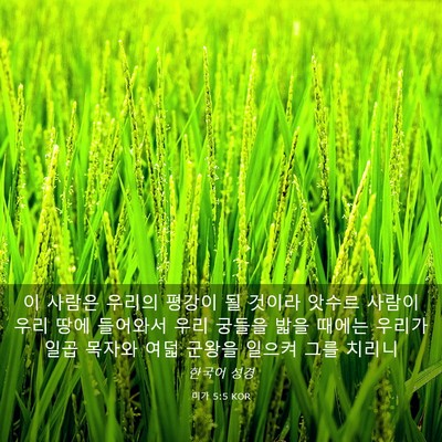 Picture 03 - 미가 5:5 KOR - 이 사람은 우리의 평강이 될 것이라 - Bible Verse Picture
