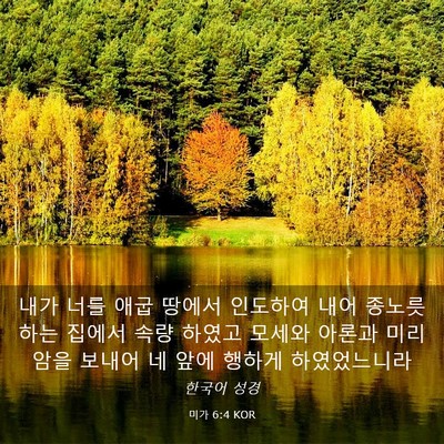 Picture 03 - 미가 6:4 KOR - 내가 너를 애굽 땅에서 인도하여 - Bible Verse Picture