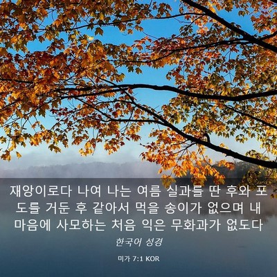Picture 03 - 미가 7:1 KOR - 재앙이로다 나여 나는 여름 실과를 - Bible Verse Picture