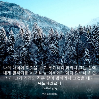 Picture 03 - 미가 7:10 KOR - 나의 대적이 이것을 보고 부끄러워 - Bible Verse Picture