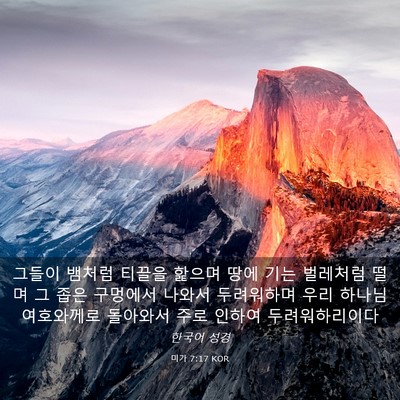 Picture 03 - 미가 7:17 KOR - 그들이 뱀처럼 티끌을 핥으며 땅에 - Bible Verse Picture
