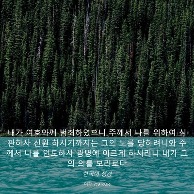 Picture 03 - 미가 7:9 KOR - 내가 여호와께 범죄하였으니 주께서 - Bible Verse Picture