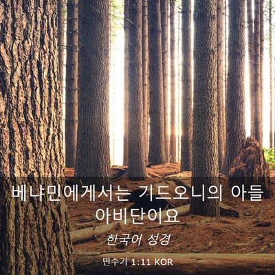 Picture 03 - 민수기 1:11 KOR - 베냐민에게서는 기드오니의 아들 - Bible Verse Picture