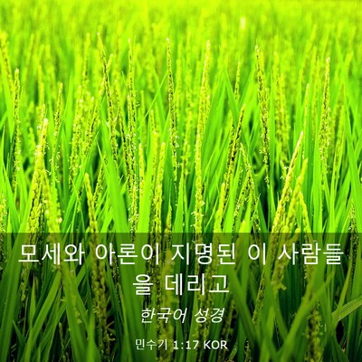 Picture 03 - 민수기 1:17 KOR - 모세와 아론이 지명된 이 사람들을 - Bible Verse Picture