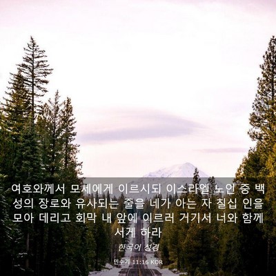 Picture 03 - 민수기 11:16 KOR - 여호와께서 모세에게 이르시되 - Bible Verse Picture