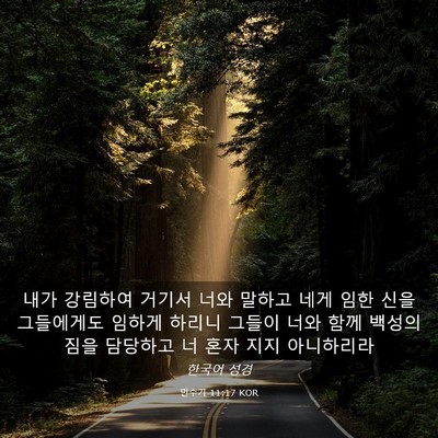 Picture 03 - 민수기 11:17 KOR - 내가 강림하여 거기서 너와 말하고 - Bible Verse Picture
