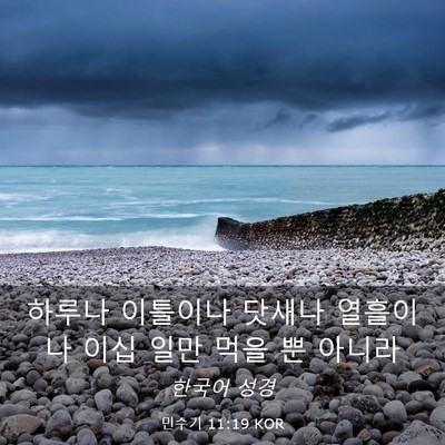 Picture 03 - 민수기 11:19 KOR - 하루나 이틀이나 닷새나 열흘이나 - Bible Verse Picture