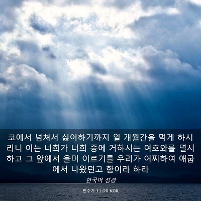 Picture 03 - 민수기 11:20 KOR - 코에서 넘쳐서 싫어하기까지 일 - Bible Verse Picture