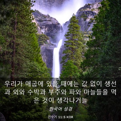 Picture 03 - 민수기 11:5 KOR - 우리가 애굽에 있을 때에는 값 없이 - Bible Verse Picture