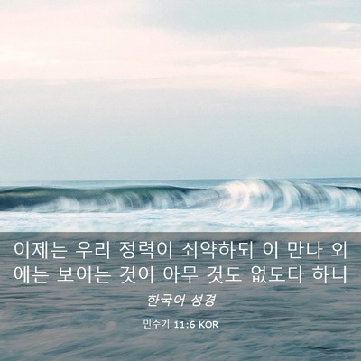 Picture 03 - 민수기 11:6 KOR - 이제는 우리 정력이 쇠약하되 이 - Bible Verse Picture