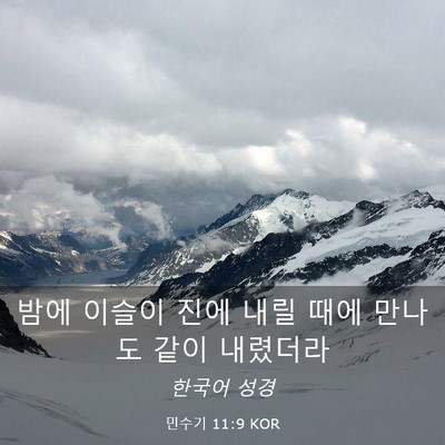 Picture 03 - 민수기 11:9 KOR - 밤에 이슬이 진에 내릴 때에 만나도 - Bible Verse Picture