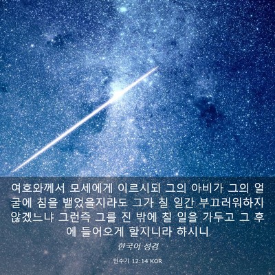 Picture 03 - 민수기 12:14 KOR - 여호와께서 모세에게 이르시되 그의 - Bible Verse Picture
