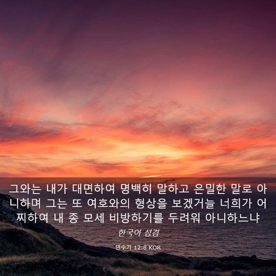 Picture 03 - 민수기 12:8 KOR - 그와는 내가 대면하여 명백히 말하고 - Bible Verse Picture