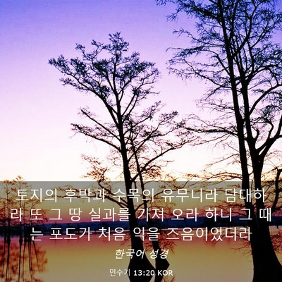 Picture 03 - 민수기 13:20 KOR - 토지의 후박과 수목의 유무니라 - Bible Verse Picture