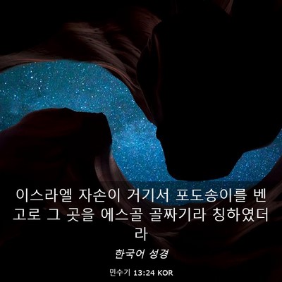 Picture 03 - 민수기 13:24 KOR - 이스라엘 자손이 거기서 포도송이를 - Bible Verse Picture
