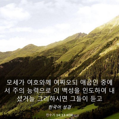 Picture 03 - 민수기 14:13 KOR - 모세가 여호와께 여짜오되 애굽인 - Bible Verse Picture