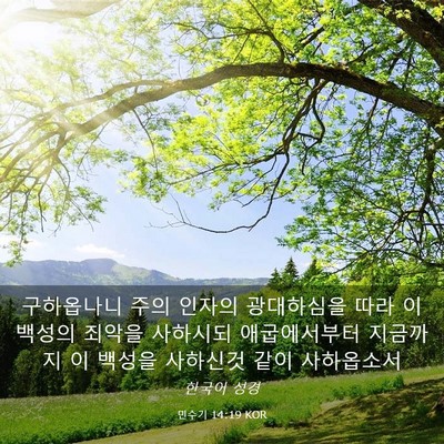 Picture 03 - 민수기 14:19 KOR - 구하옵나니 주의 인자의 광대하심을 - Bible Verse Picture