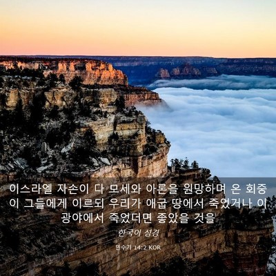Picture 03 - 민수기 14:2 KOR - 이스라엘 자손이 다 모세와 아론을 - Bible Verse Picture
