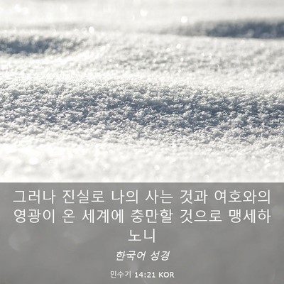 Picture 03 - 민수기 14:21 KOR - 그러나 진실로 나의 사는 것과 - Bible Verse Picture