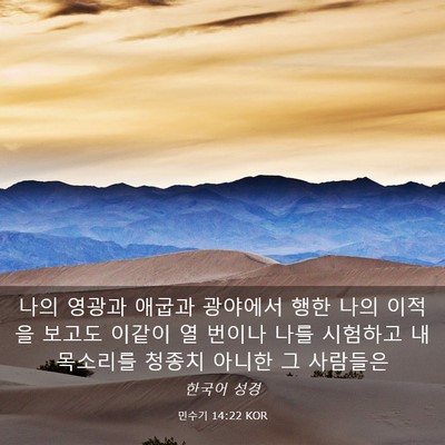 Picture 03 - 민수기 14:22 KOR - 나의 영광과 애굽과 광야에서 행한 - Bible Verse Picture