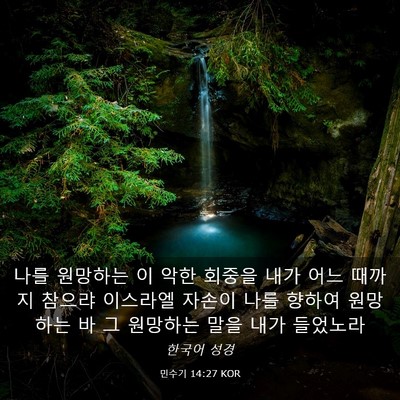 Picture 03 - 민수기 14:27 KOR - 나를 원망하는 이 악한 회중을 내가 - Bible Verse Picture