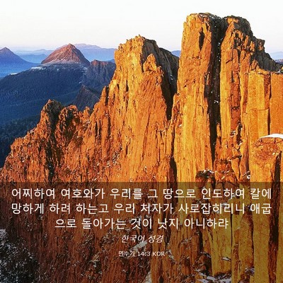 Picture 03 - 민수기 14:3 KOR - 어찌하여 여호와가 우리를 그 땅으로 - Bible Verse Picture
