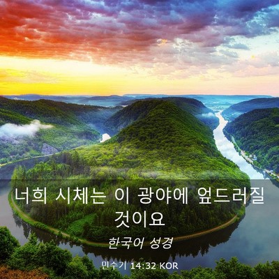 Picture 03 - 민수기 14:32 KOR - 너희 시체는 이 광야에 엎드러질 - Bible Verse Picture
