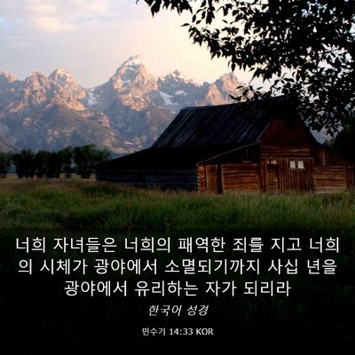 Picture 03 - 민수기 14:33 KOR - 너희 자녀들은 너희의 패역한 죄를 - Bible Verse Picture