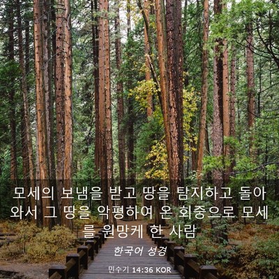 Picture 03 - 민수기 14:36 KOR - 모세의 보냄을 받고 땅을 탐지하고 - Bible Verse Picture