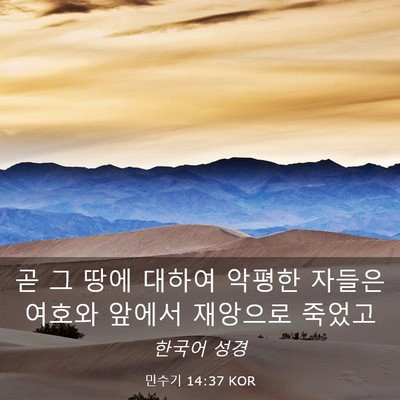Picture 03 - 민수기 14:37 KOR - 곧 그 땅에 대하여 악평한 자들은 - Bible Verse Picture