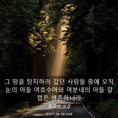 Picture 03 - 민수기 14:38 KOR - 그 땅을 탐지하러 갔던 사람들 중에 - Bible Verse Picture