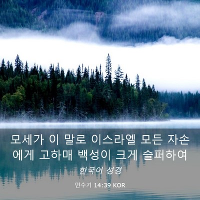 Picture 03 - 민수기 14:39 KOR - 모세가 이 말로 이스라엘 모든 - Bible Verse Picture