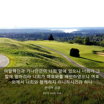 Picture 03 - 민수기 14:43 KOR - 아말렉인과 가나안인이 너희 앞에 - Bible Verse Picture