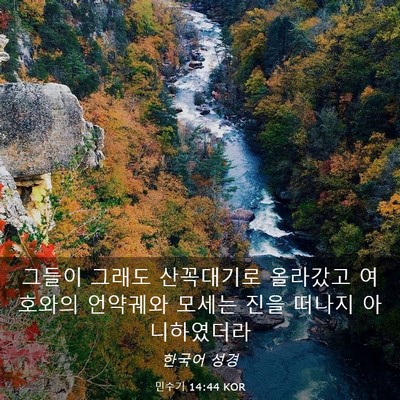 Picture 03 - 민수기 14:44 KOR - 그들이 그래도 산꼭대기로 올라갔고 - Bible Verse Picture