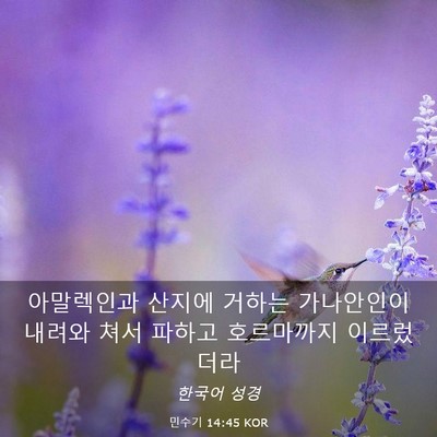 Picture 03 - 민수기 14:45 KOR - 아말렉인과 산지에 거하는 - Bible Verse Picture