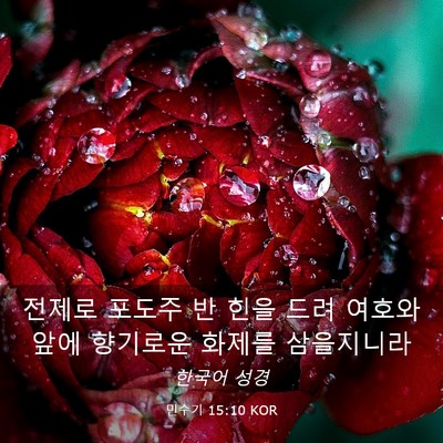 Picture 03 - 민수기 15:10 KOR - 전제로 포도주 반 힌을 드려 여호와 - Bible Verse Picture