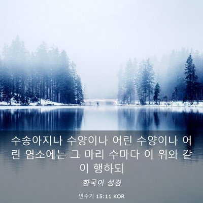 Picture 03 - 민수기 15:11 KOR - 수송아지나 수양이나 어린 수양이나 - Bible Verse Picture