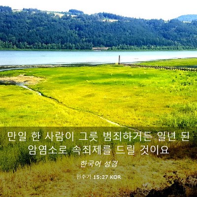 Picture 03 - 민수기 15:27 KOR - 만일 한 사람이 그릇 범죄하거든 - Bible Verse Picture