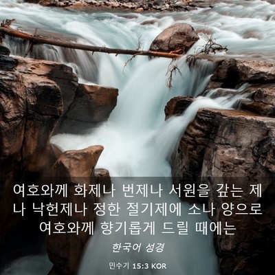 Picture 03 - 민수기 15:3 KOR - 여호와께 화제나 번제나 서원을 갚는 - Bible Verse Picture