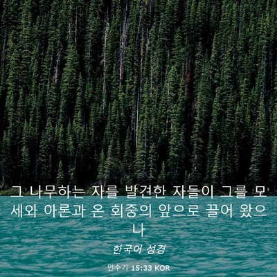 Picture 03 - 민수기 15:33 KOR - 그 나무하는 자를 발견한 자들이 - Bible Verse Picture