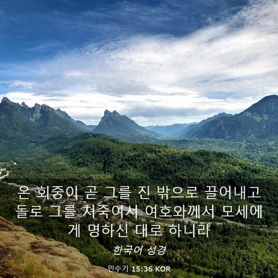 Picture 03 - 민수기 15:36 KOR - 온 회중이 곧 그를 진 밖으로 - Bible Verse Picture