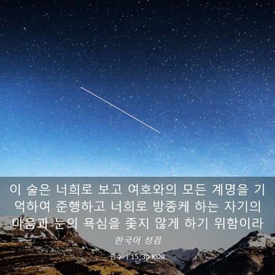Picture 03 - 민수기 15:39 KOR - 이 술은 너희로 보고 여호와의 모든 - Bible Verse Picture