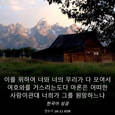 Picture 03 - 민수기 16:11 KOR - 이를 위하여 너와 너의 무리가 다 - Bible Verse Picture