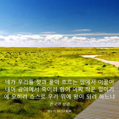 Picture 03 - 민수기 16:13 KOR - 네가 우리를 젖과 꿀이 흐르는 - Bible Verse Picture