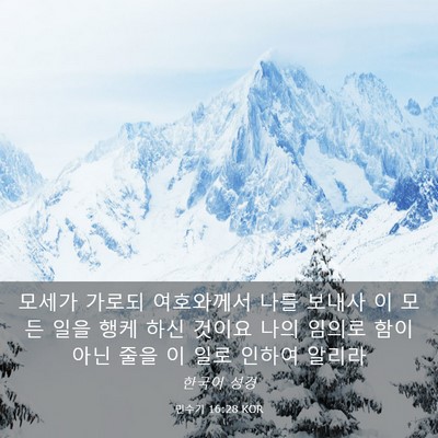 Picture 03 - 민수기 16:28 KOR - 모세가 가로되 여호와께서 나를 - Bible Verse Picture