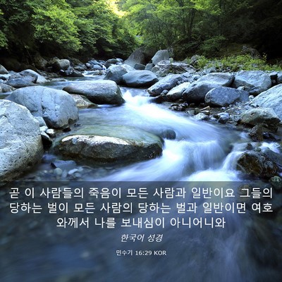 Picture 03 - 민수기 16:29 KOR - 곧 이 사람들의 죽음이 모든 사람과 - Bible Verse Picture