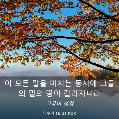 Picture 03 - 민수기 16:31 KOR - 이 모든 말을 마치는 동시에 그들의 - Bible Verse Picture