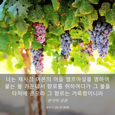 Picture 03 - 민수기 16:37 KOR - 너는 제사장 아론의 아들 엘르아살을 - Bible Verse Picture